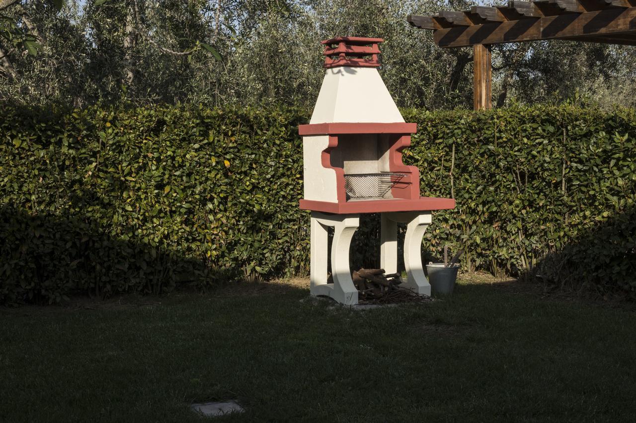 Agriturismo Dallolivo Bolgheri Exterior foto